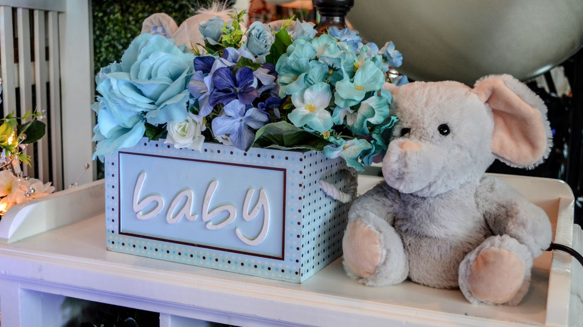 Organizadora de baby shower