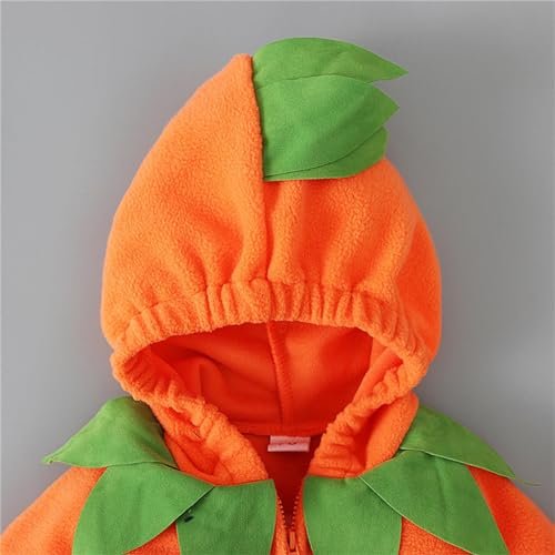 41GBXRJVdAL._SL500_.jpg