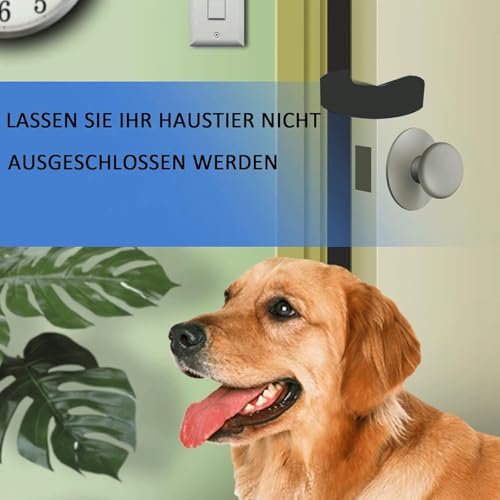 41vERZQrktL._SL500_.jpg