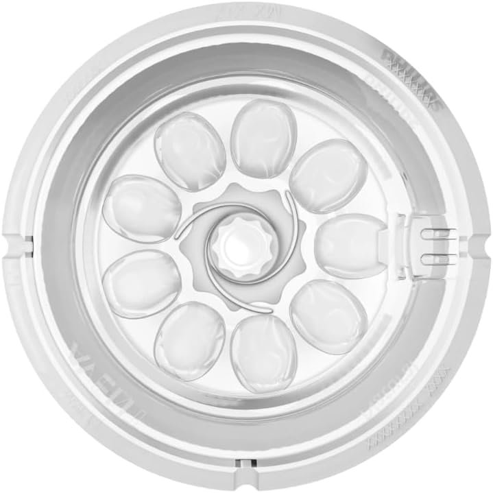 51L1X3ZENSL._AC_SL1000_.jpg