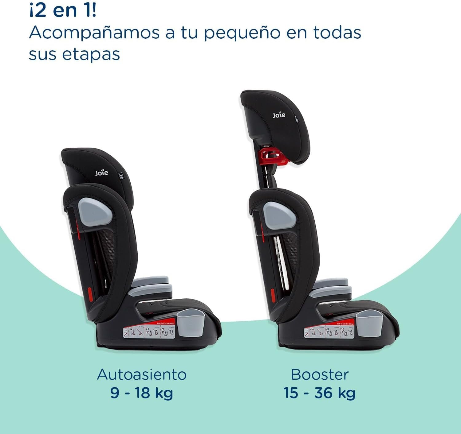 61DCkOLyNL._AC_SL1500_.jpg